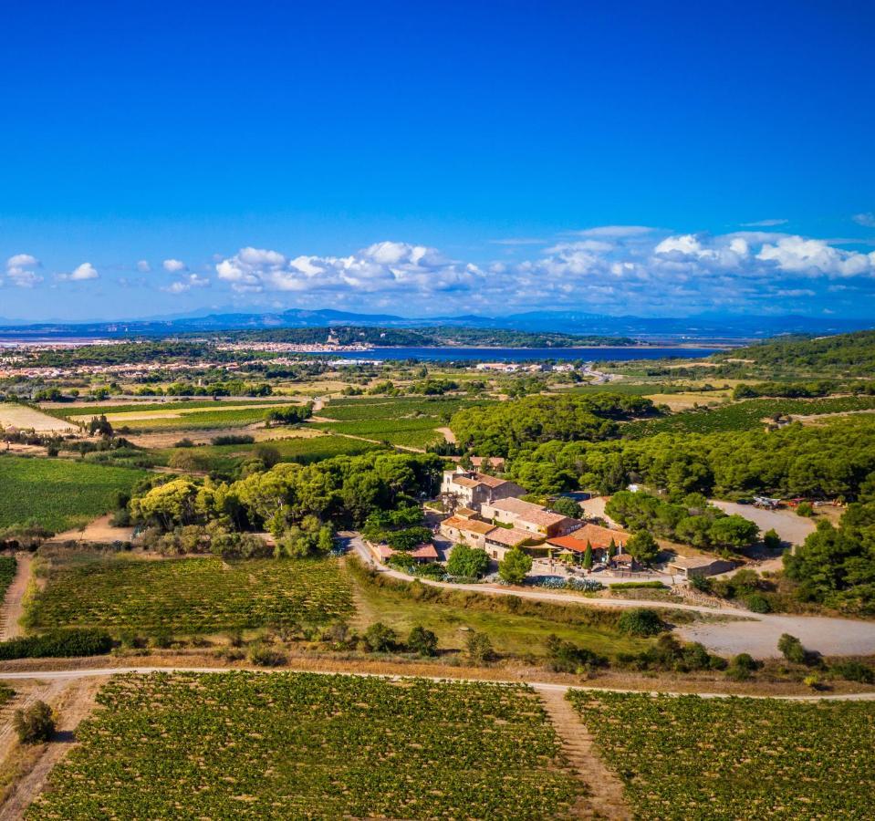 Château le Bouïs Gruissan Exterior foto